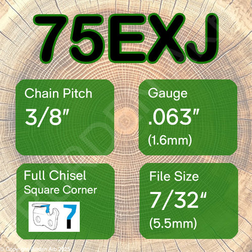 75EXJ Chain Loops