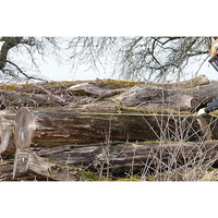 Logger Tape in Use