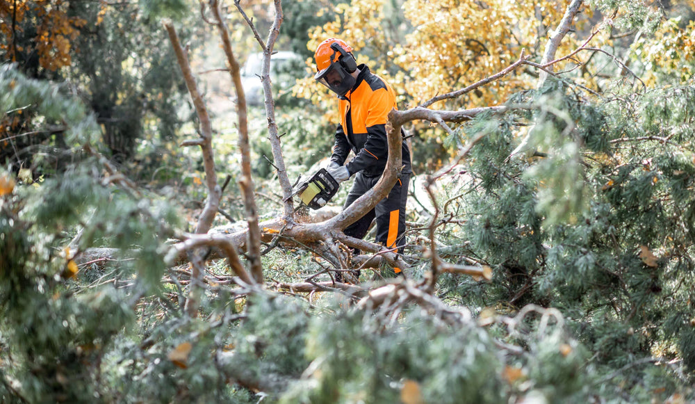 Man wearing chainsaw PPE using a chainsaw in a forest setting